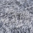 Olympus Polar Bear Hoodie