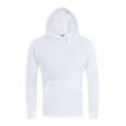 Olympus Polar Canvas Fitted Hoodie