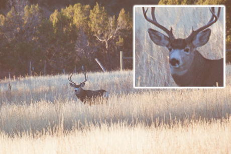 iStock-868716568_9cc5140e-8a35-4133-91e7-b72e1b2af323