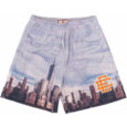 Sky View Shorts