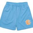Basic Summer Shorts