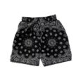 Paisley Shorts