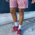 Summer Pastel Shorts