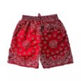 Paisley Shorts