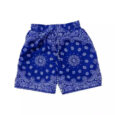 Paisley Shorts