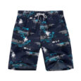 Mens Swimwear