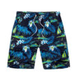 Mens Swimwear