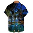 Hawaiian Men’s Top