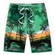 Men Plus Size Swimwear