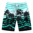 Men Plus Size Swimwear