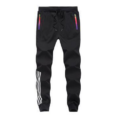 Olympus Aurora Borealis Thermal Joggers