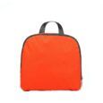 Olympus Lightweight Daypack